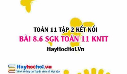 Bài 8.6 SGK Toán 11 Tập 2 Kết nối tri thức
